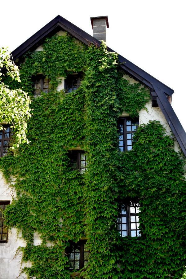 Hostel Przy Targu Rybnym Gdańsk Exteriör bild
